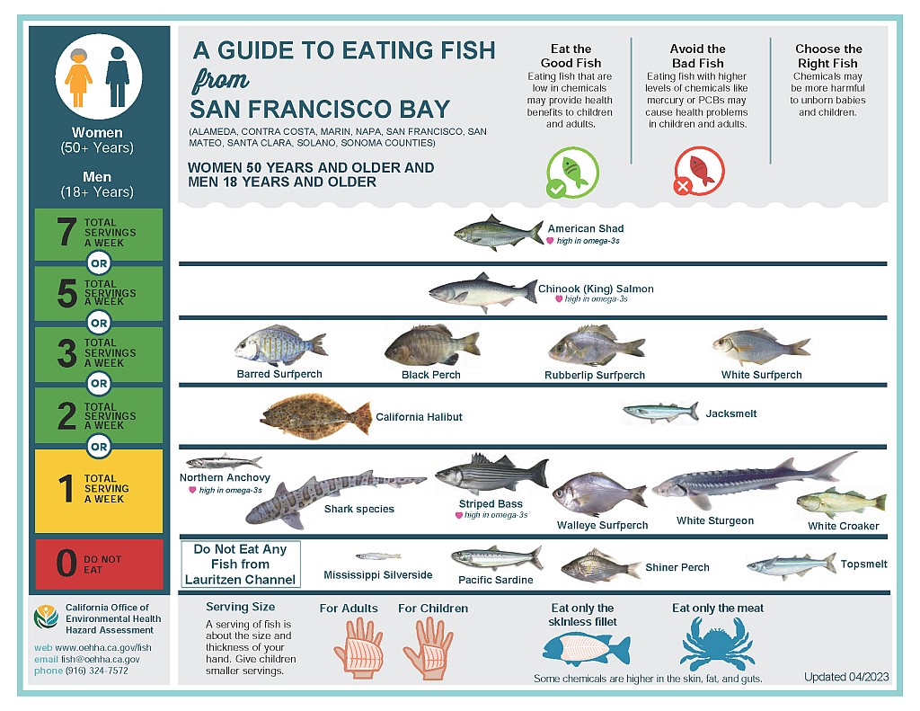 Safe Fish Poster - men and older women